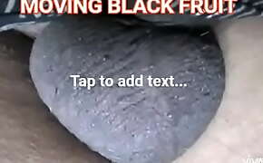MOVING BLACK FRUIT