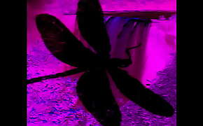 Dark Lantern Entertainment Presents 'The Dragonfly' Scene 4 Pt.2