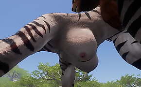 game furry wild life male lion hunting sex zebra female