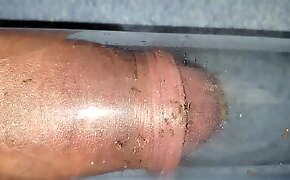 Ants Bite Cock