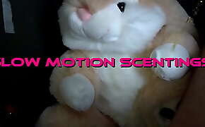 Slow motion bunny scent marking!