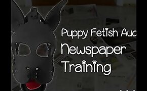 Puppy Good-luck piece Newspaper Training